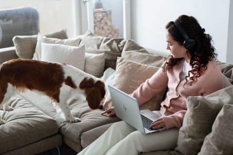 Nainen töissä kotona, istuu koiran kanssa sohvalla.