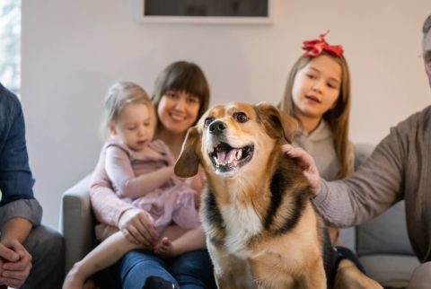 Koira sohvalla perheen huomion keskipisteenä